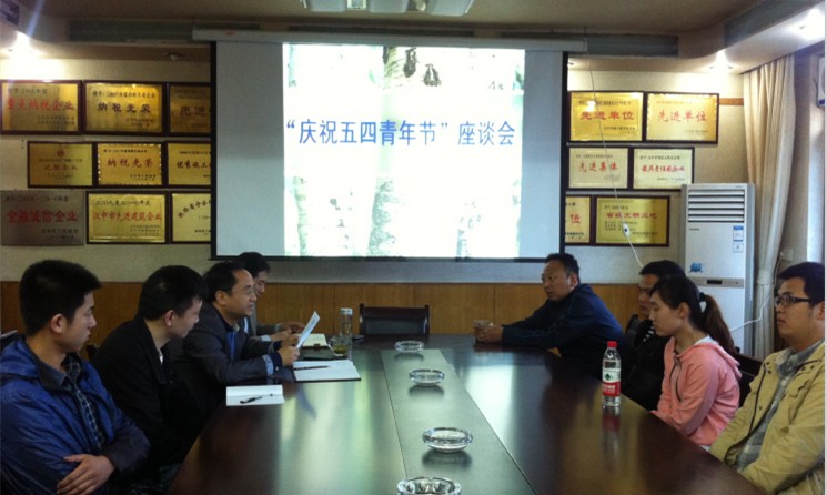 集团所属汉建总公司召开“五四”青年座谈会-易彩堂官网