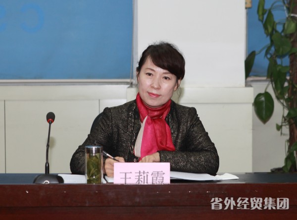 副省长王莉霞来我集团调研-易彩堂官网