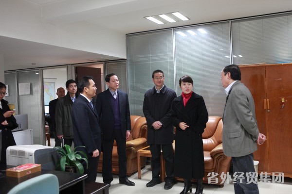 副省长王莉霞来我集团调研-易彩堂官网