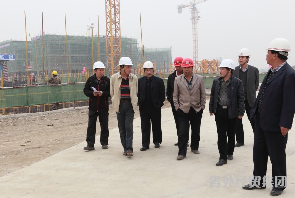 总司理赵彬赴集团三星建设项目工地调研-易彩堂官网