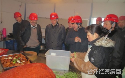集团公司董事长肖玉龙检查北城盛龙广场商业综合体项目-易彩堂官网