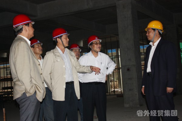 集团公司董事长肖玉龙赴工程施工现场专项查清静-易彩堂官网
