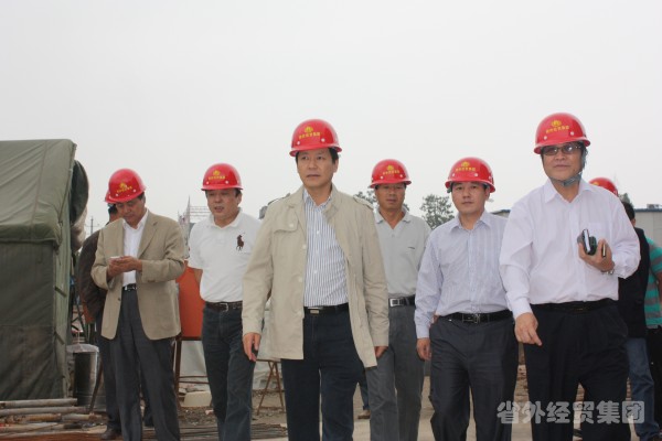 集团公司董事长肖玉龙赴工程施工现场专项查清静-易彩堂官网