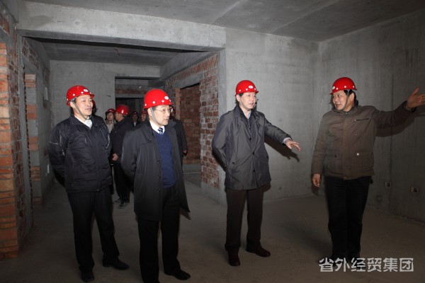 集团公司董事长肖玉龙 副总司理惠宏军赴集团建设一公司、六公司项目工地调研-易彩堂官网