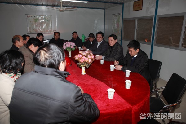 集团公司董事长肖玉龙 副总司理惠宏军赴集团建设一公司、六公司项目工地调研-易彩堂官网