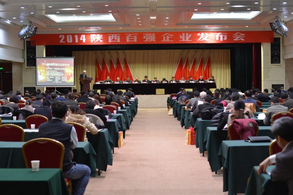 集团公司入围2014陕西企业100强-易彩堂官网