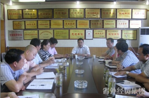 集团公司向导赴汉建总调研-易彩堂官网