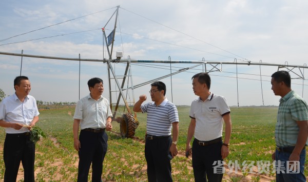 省国资委对集团公司土地整理项目举行专项检查-易彩堂官网