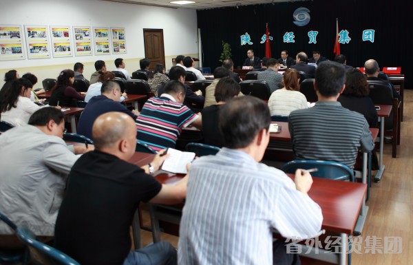 集团公司召开专题聚会转达学习省政府关于推进混淆所有制经济生长的意见-易彩堂官网
