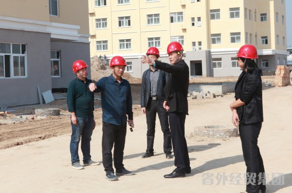 集团公司董事长、党委书记肖玉龙赴集团铜川在建项目举行调研-易彩堂官网