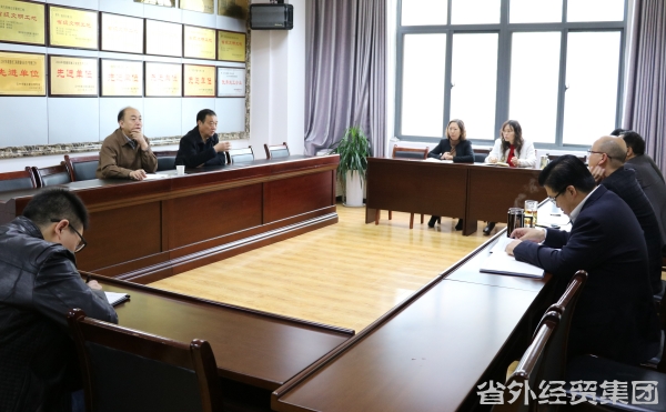 集团公司向导一行赴汉开展事情调研-易彩堂官网