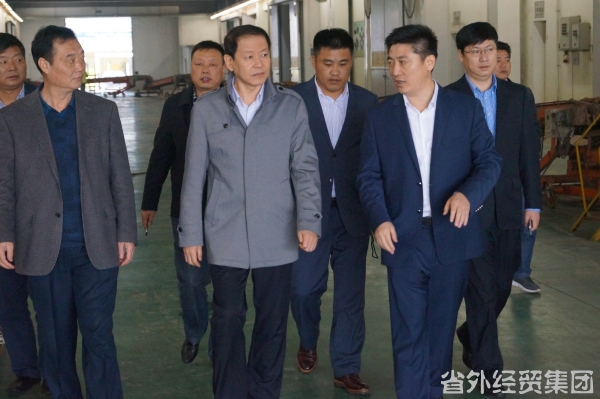集团公司董事长肖玉龙赴镇江考察相助项目-易彩堂官网