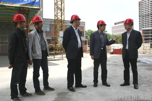 省国资委党委副书记何少华一行赴汉建总调研指导事情-易彩堂官网