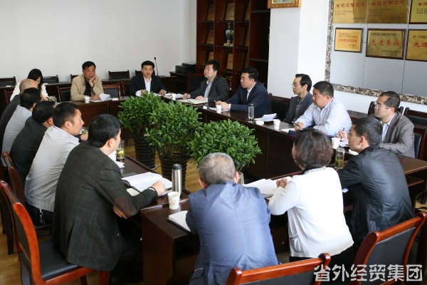 省国资委党委副书记何少华一行赴汉建总调研指导事情-易彩堂官网
