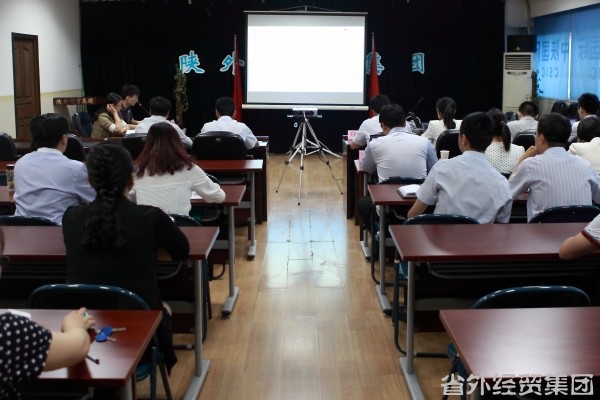 集团公司召开内部控制系统建设项目安排聚会-易彩堂官网