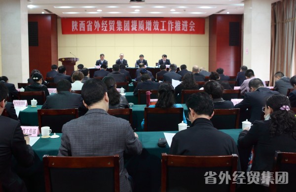 集团公司召开提质增效事情推进会-易彩堂官网