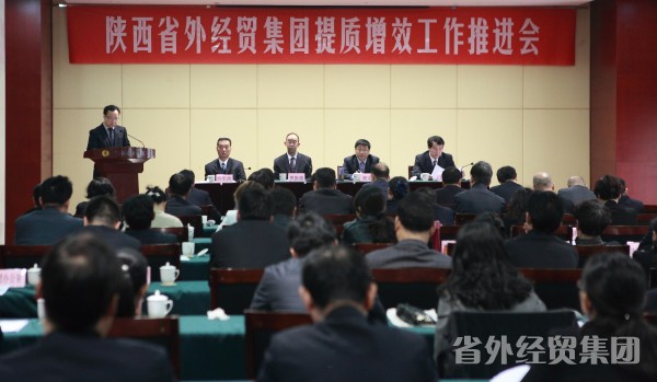 集团公司召开提质增效事情推进会-易彩堂官网