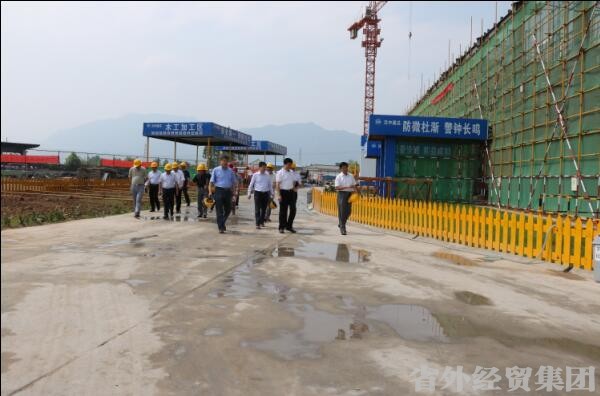 省国资委副主任周书年一行莅临汉建总在建项目调研检查-易彩堂官网