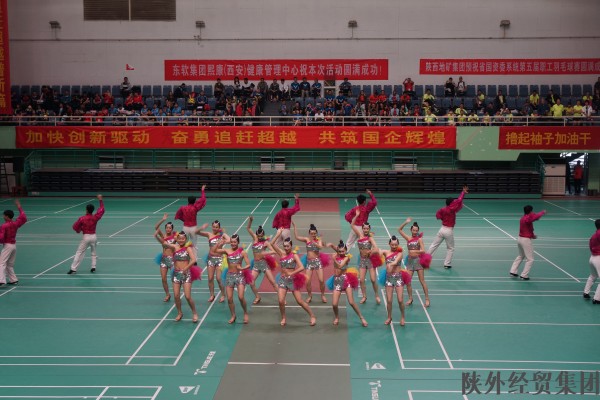 集团加入陕西省国资委系统第五届职工羽毛球赛---夏日激情、羽你分享-易彩堂官网