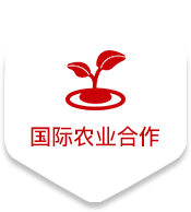 易彩堂官网-追求健康,你我一起成长