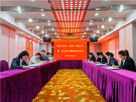 9.5第一党支部专题组织生涯会_副本.jpg