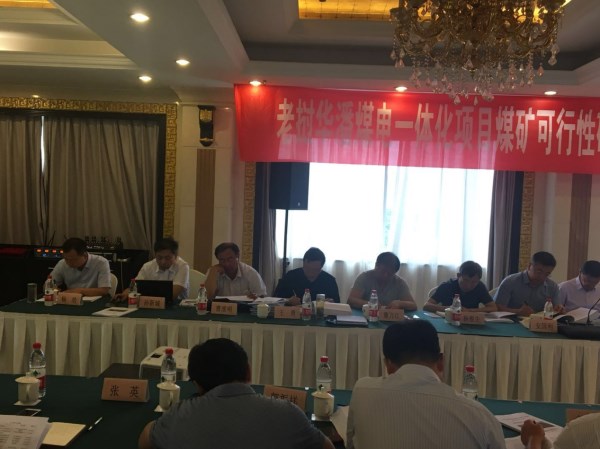 陕海投副总司理杨浩一行加入老挝华潘煤电一体化项目煤矿部分及电厂部分可行性研究报告评审会-易彩堂官网