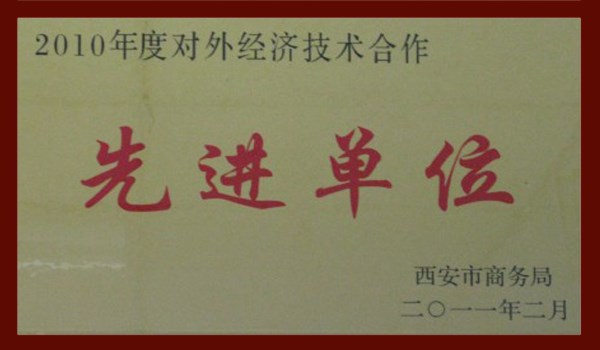 对外经济手艺相助先进单位