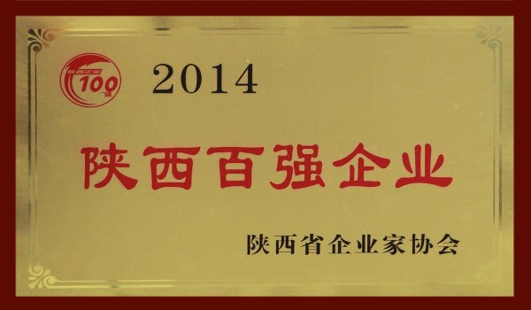 陕西百强企业