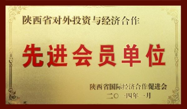 陕西对外投资与经济相助先进会员单位