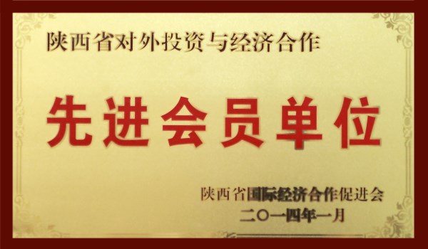 陕西省对外投资与经济相助先进会员单位