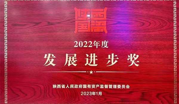 易彩堂官网集团荣获陕西省国资系统2022年度“生长前进奖”